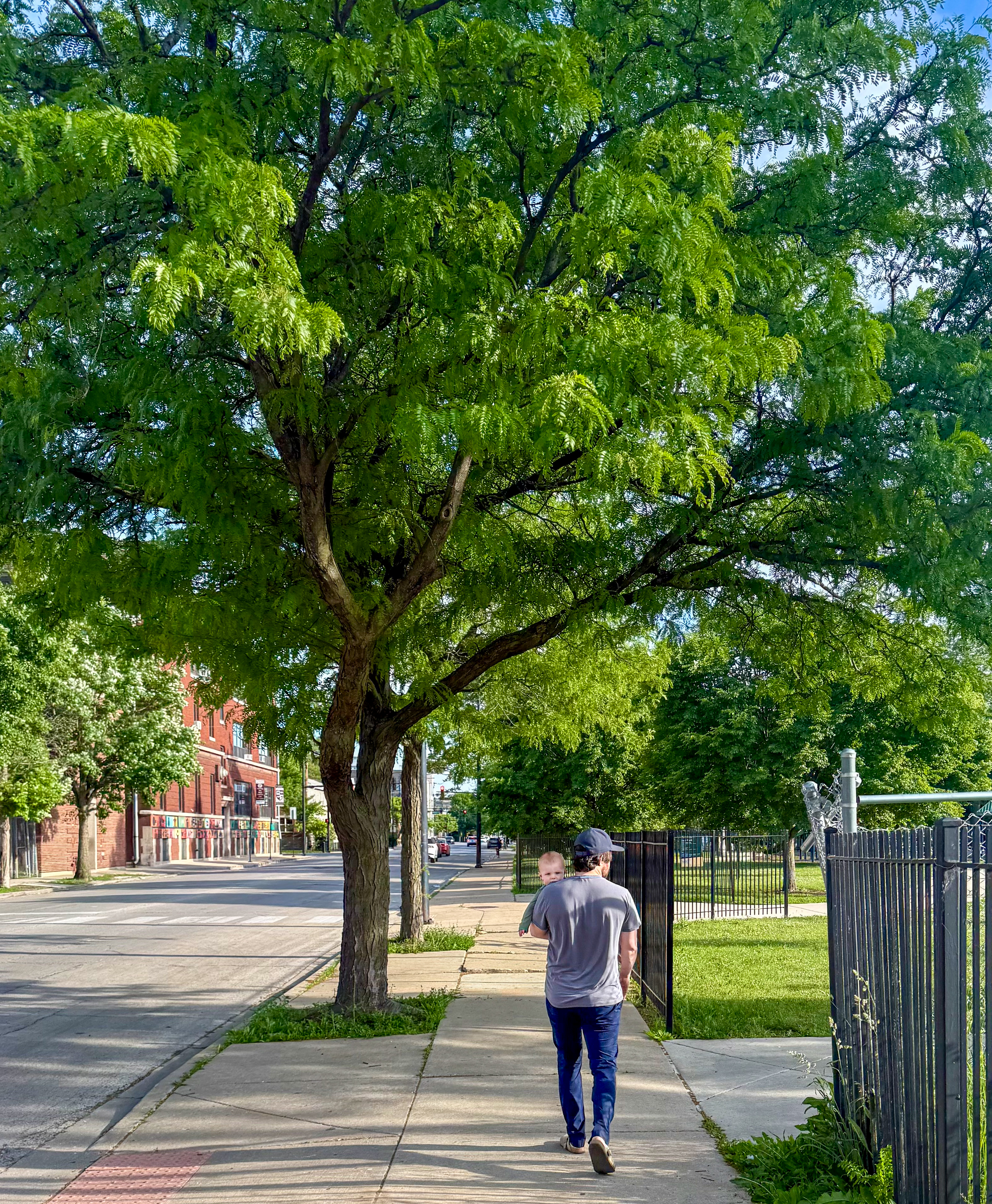 Nate walking with Hugh on a tree-lined West Side street